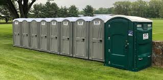 Best Deluxe Portable Toilet Rental  in Roseau, MN